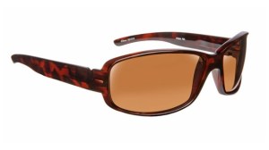 driver fatigue and eye strain_Dioptics Polarized Sunglasses 1