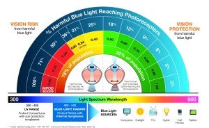 driver fatigue and eye strain_macular pigment optical density and diet