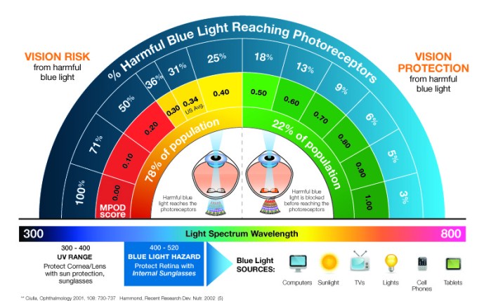 anti-glare computer eye strain diet_macular pigment bluelight filtering statistics