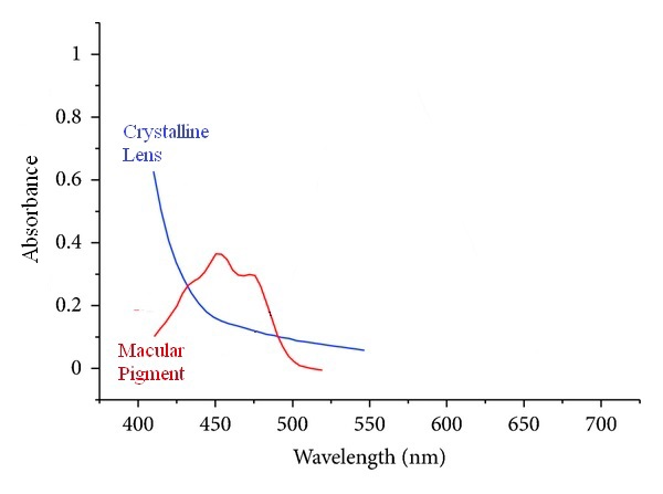 blue filter - crystalline lens and macular pigment absorption curves